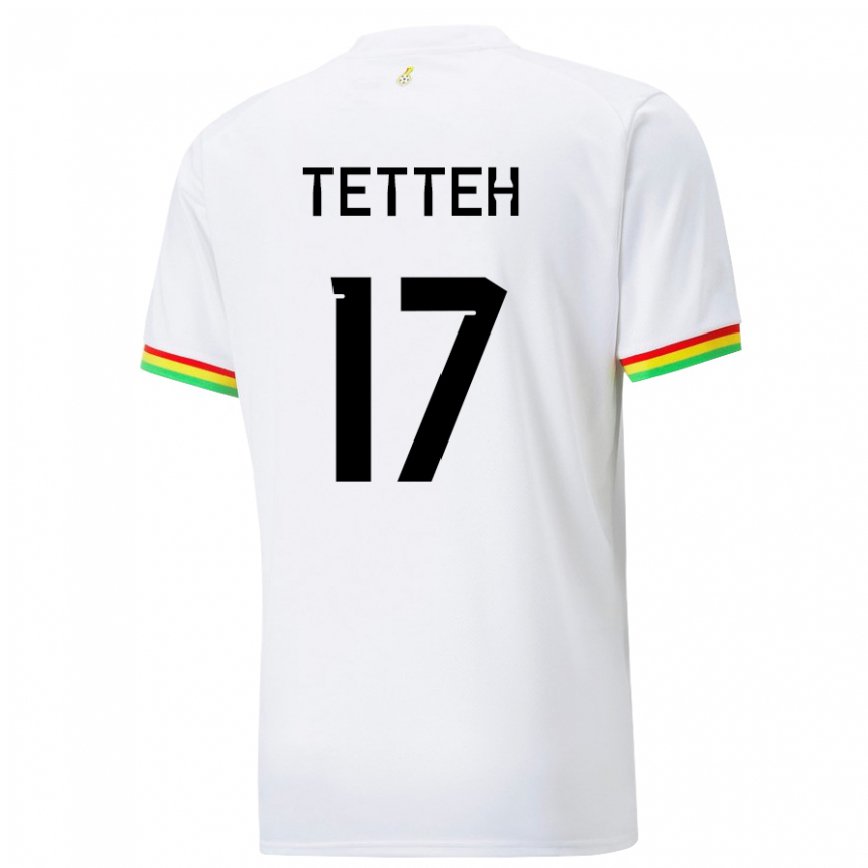 Niño Camiseta Ghana Benjamin Tetteh #17 Blanco 1ª Equipación 22-24 Perú