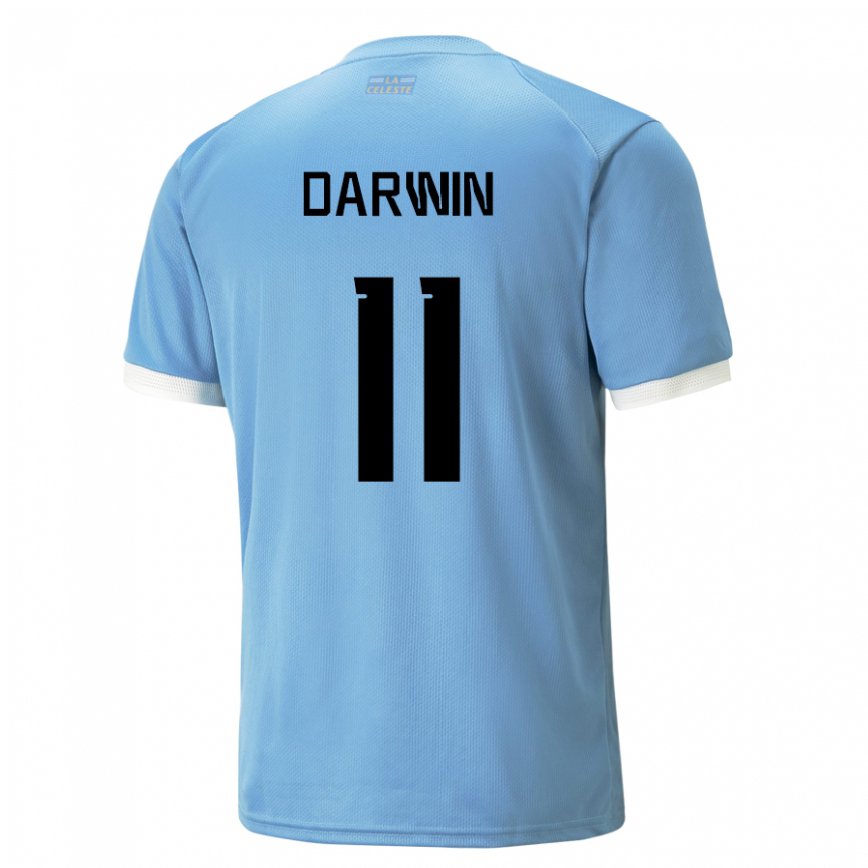 Niño Camiseta Uruguay Darwin Nunez #11 Azul 1ª Equipación 22-24 Perú