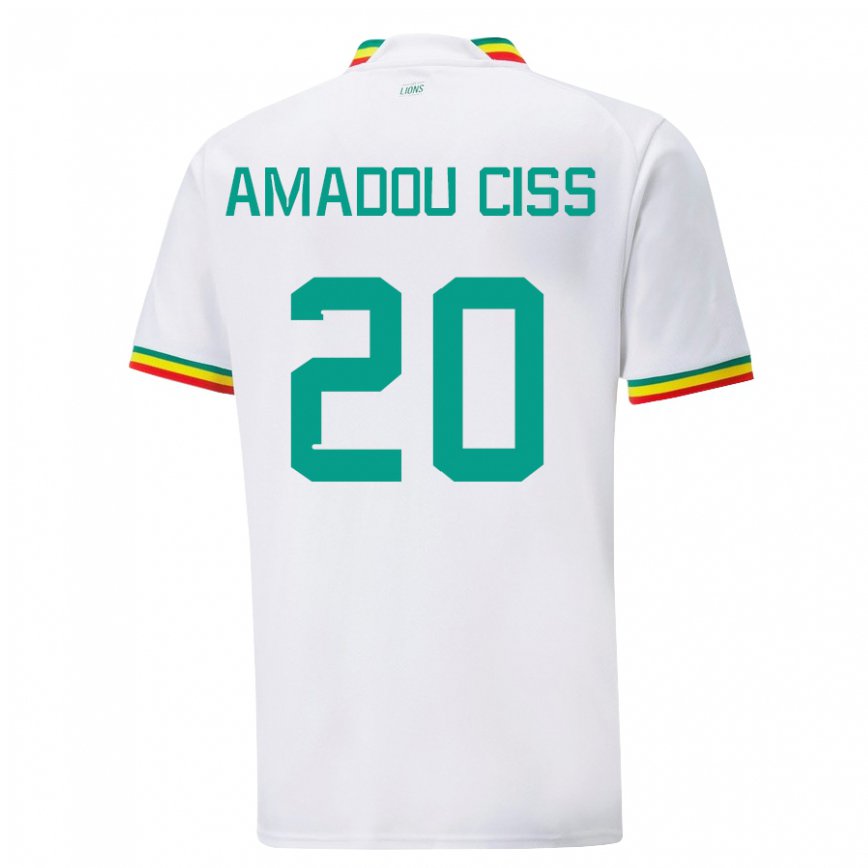 Niño Camiseta Senegal Amadou Ciss #20 Blanco 1ª Equipación 22-24 Perú