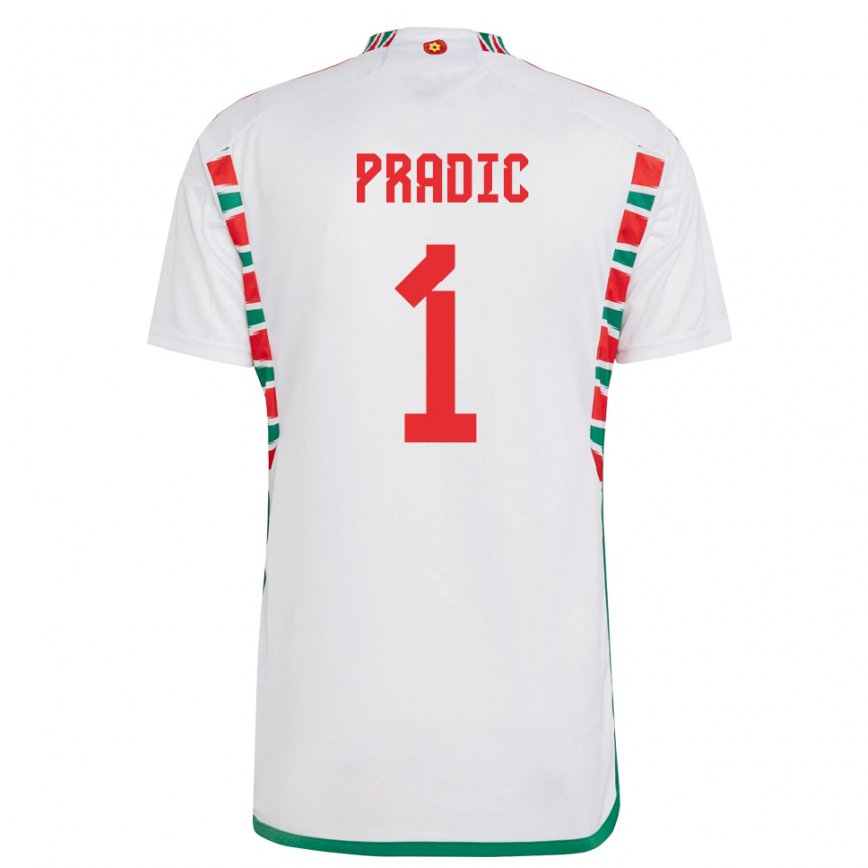 Niño Camiseta Gales James Pradic #1 Blanco 2ª Equipación 22-24 Perú