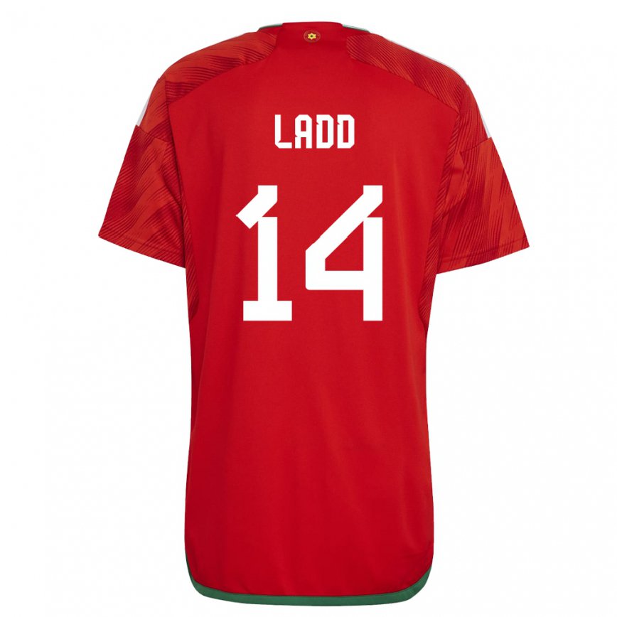 Hombre Camiseta Gales Hayley Ladd #14 Rojo 1ª Equipación 22-24 Perú