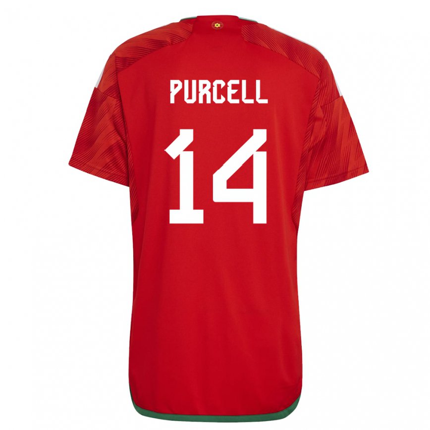 Hombre Camiseta Gales Benjamin Purcell #14 Rojo 1ª Equipación 22-24 Perú