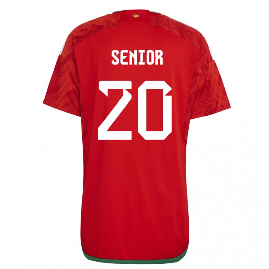 Hombre Camiseta Gales Matt Senior #20 Rojo 1ª Equipación 22-24 Perú