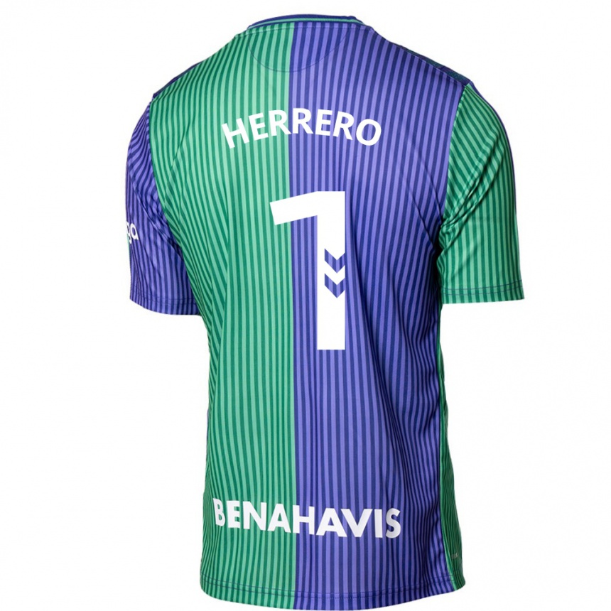 Mujer Fútbol Camiseta Alfonso Herrero #1 Verde Azul 2ª Equipación 2023/24 Perú