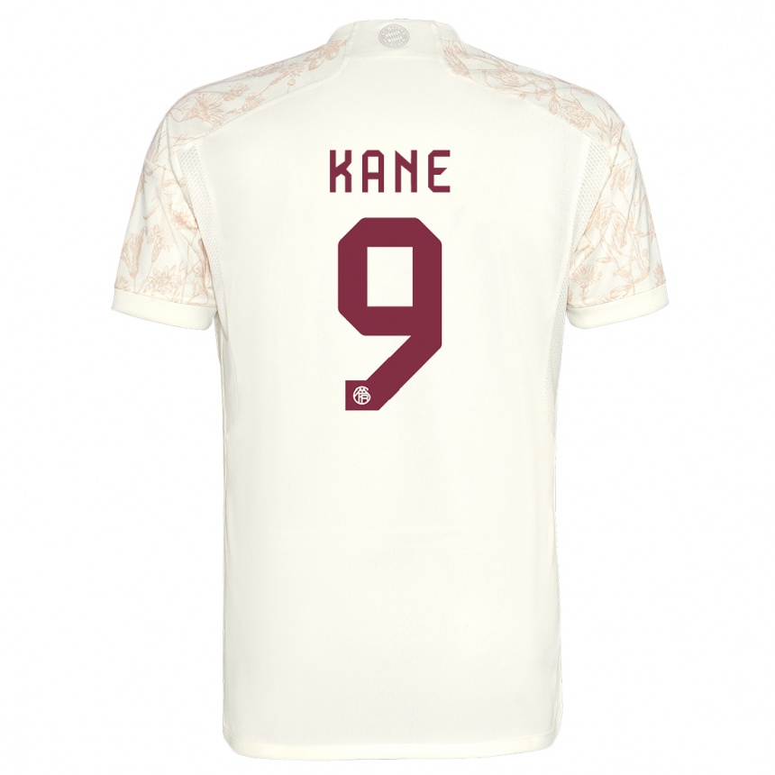 Hombre Fútbol Camiseta Harry Kane #9 Blanquecino Equipación Tercera 2023/24 Perú