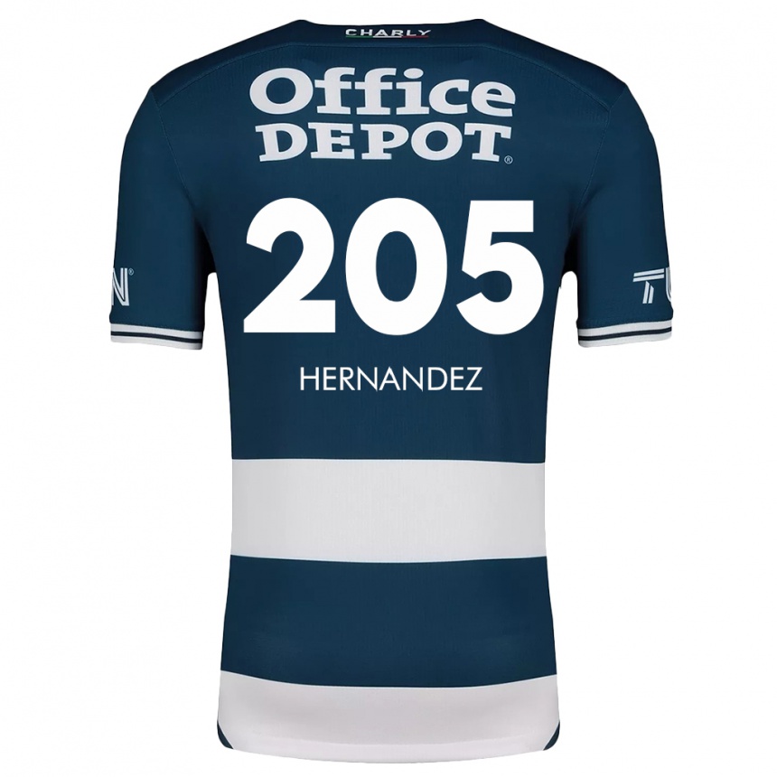 Hombre Fútbol Camiseta Sergio Hernández #205 Azul Blanco 1ª Equipación 2024/25 Perú