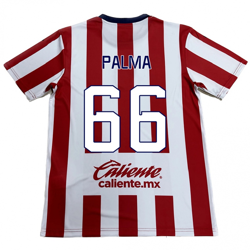 Hombre Fútbol Camiseta Arturo Palma #66 Rojo Blanco 1ª Equipación 2024/25 Perú