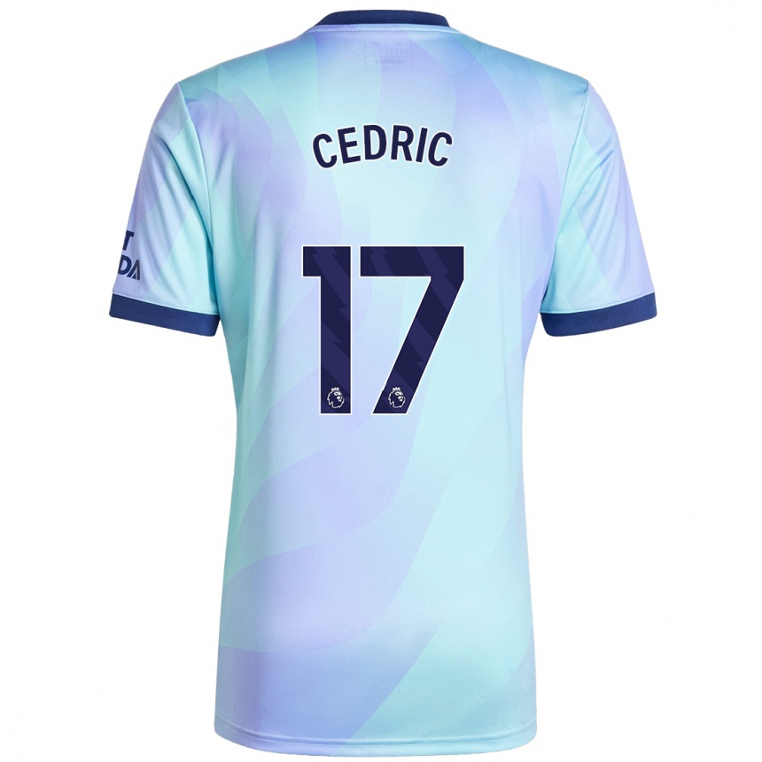 Hombre Fútbol Camiseta Cedric Soares #17 Agua Equipación Tercera 2024/25 Perú